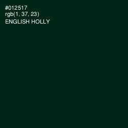 #012517 - English Holly Color Image